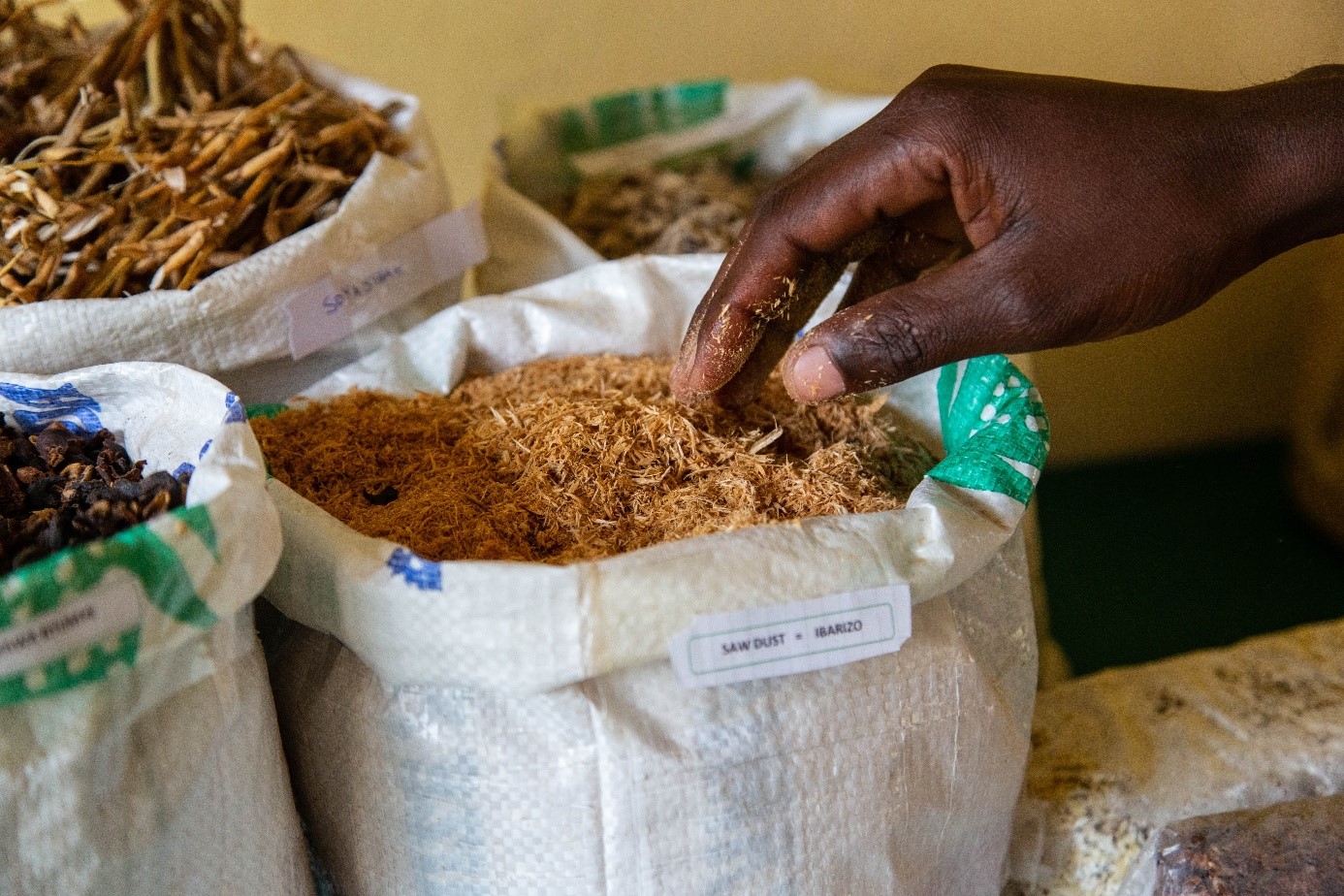 Circular Economy and Sustainability Initiatives